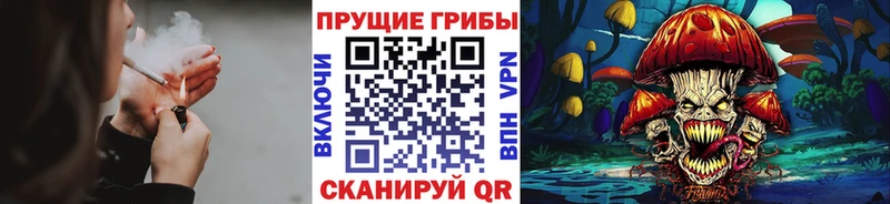 где найти   Печора  Псилоцибиновые грибы ЛСД 