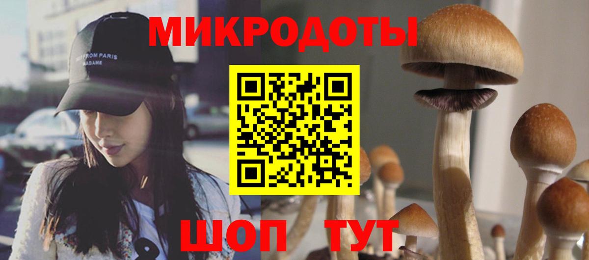 ГАШ Печора